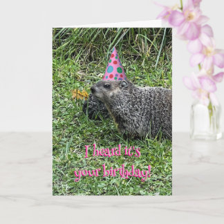 I heard it's your birthday, groundhog cards カード