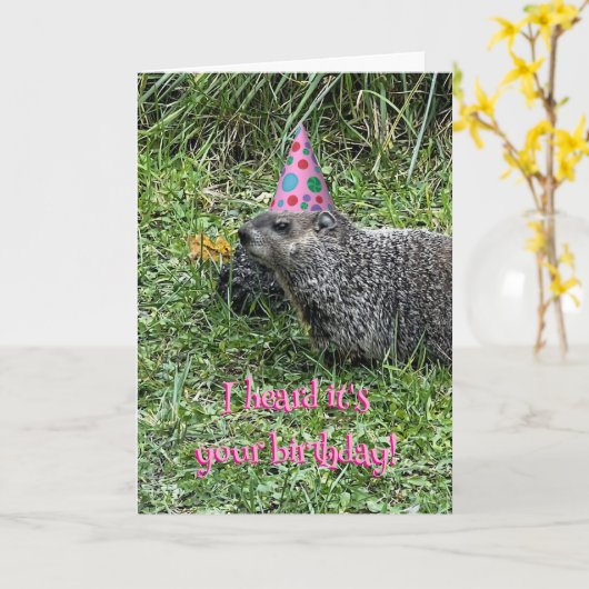 I heard it's your birthday, groundhog cards カード (黄色い花)