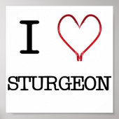 I [Heart] Sturgeon Poster ポスター (正面)
