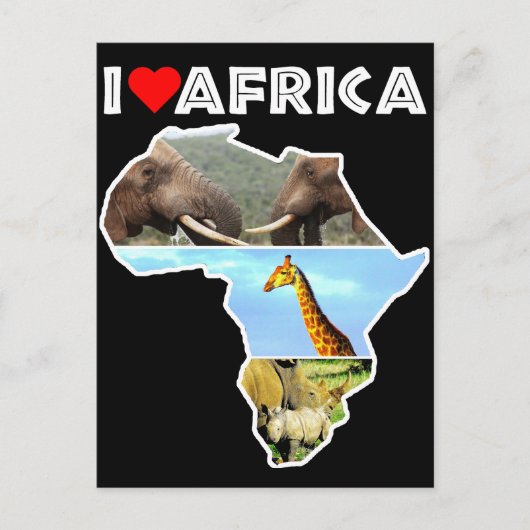 I Heat Africa Wildlife Collageポストカード ポストカード (正面)