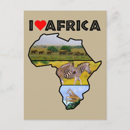 I Heat Africa Wildlife Collageポストカード ポストカード (正面)