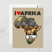 I Heat Africa Wildlife Collageポストカード ポストカード (正面/裏面)