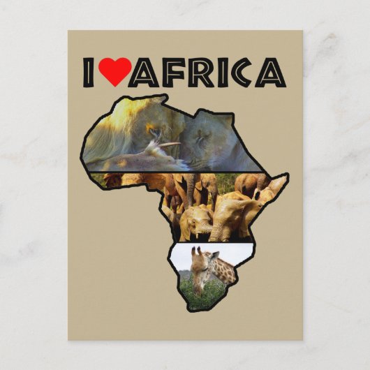 I Heat Africa Wildlife Collageポストカード ポストカード (正面)