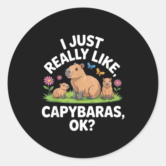 I Just Really Like Capybaras Ok_ Animal Lover Funn ラウンドシール (正面)