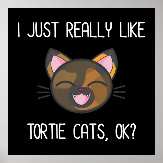 I Just Really Like Tortie Cats OK? Tortoiseshell ポスター (正面)