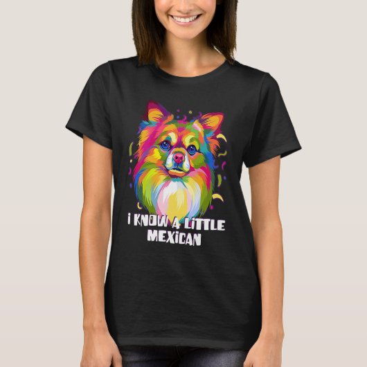 I Know a Little Mexican Funny Chihuahua Humor Chiw Tシャツ (正面)