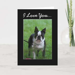 I Lave you Boston Terierグリーティングカード カード