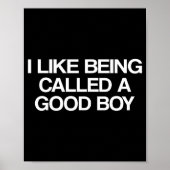 I Like Being Called A Good Boy  ポスター (正面)