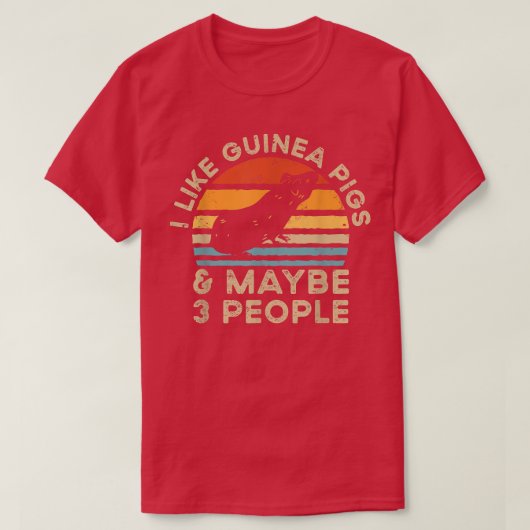 I Like Guinea Pigs And Maybe 3 People2899  Tシャツ (デザイン正面)