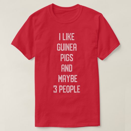 I Like Guinea Pigs & Maybe 3 People Pig Guinea Lov Tシャツ (デザイン正面)