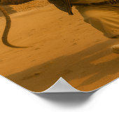 "I Like My Whip" ポスター (角)