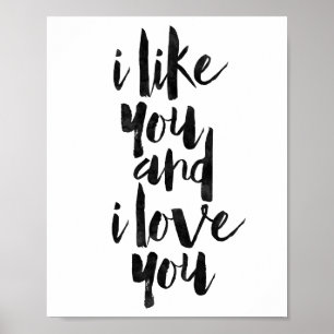 I Like You And I Love You ポスター
