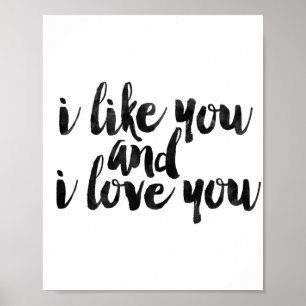 I Like You And I Love You ポスター