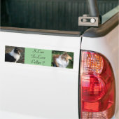 I LiveTo LoveCollies !! バンパーステッカー (トラック上)