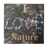 I Love自然CeramicTile タイル (正面)