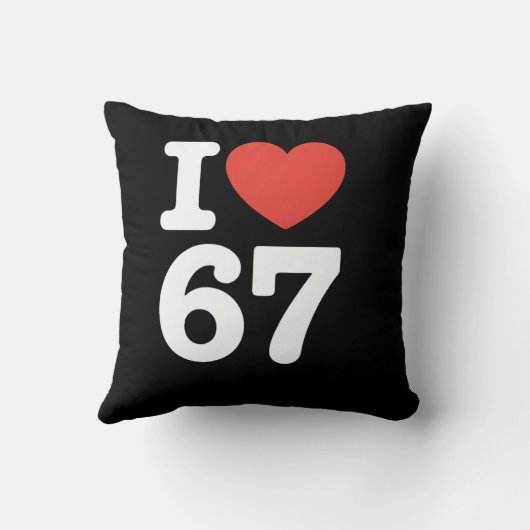 I Love 67  クッション (裏面)