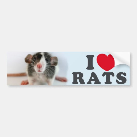 I love (blazed) Rats バンパーステッカー (正面)