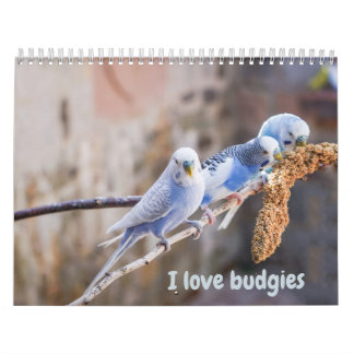 I love budgies - snapshots of the little birds カレンダー