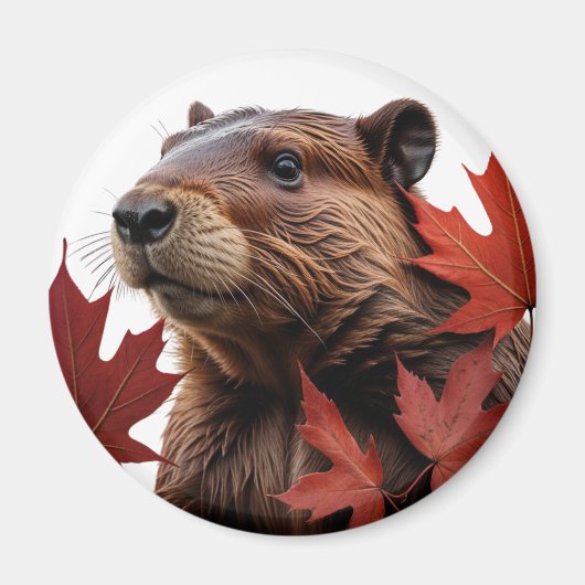 I Love Canada - Canadian Beaver with Leaf マグネット (正面)