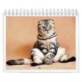 I love cats calendar 2026 カレンダー (カバー)