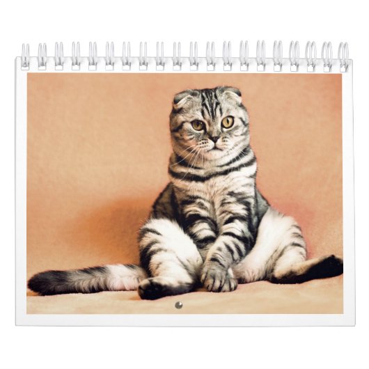 I love cats calendar 2026 カレンダー (カバー)