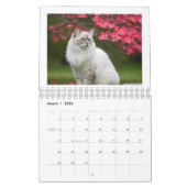 I love cats calendar 2026 カレンダー (3月 2026)