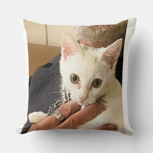 I Love Cats! Cat Throw Pillow クッション (正面)