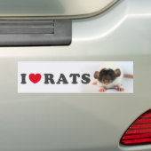 I love (cute) Rats バンパーステッカー (車上)