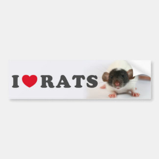 I love (cute) Rats バンパーステッカー