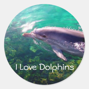 I Love Dophinsステッカー ラウンドシール