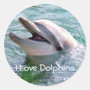 I Love Dophinsステッカー ラウンドシール