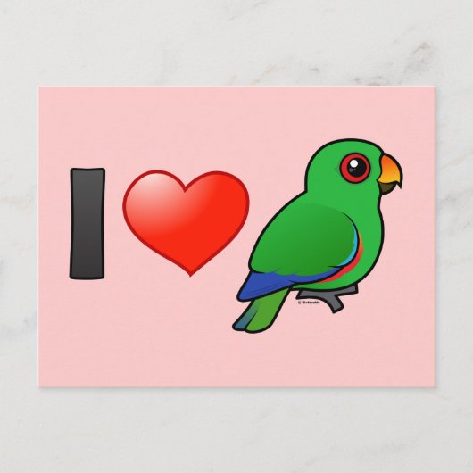 I Love Eclectus Parrots （男性） ポストカード (正面)