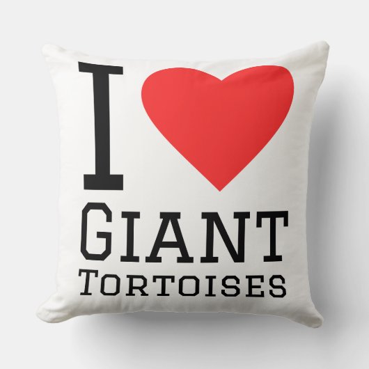 I love giant tortoise  クッション (正面)