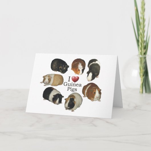 I Love Guinea Pigs - NoteCard カード (正面)