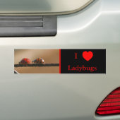 I Love Heart Ladybugs Nature 2 バンパーステッカー (車上)