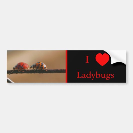 I Love Heart Ladybugs Nature 2 バンパーステッカー (正面)