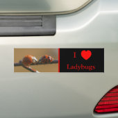 I Love Heart Ladybugs Nature 3 バンパーステッカー (車上)