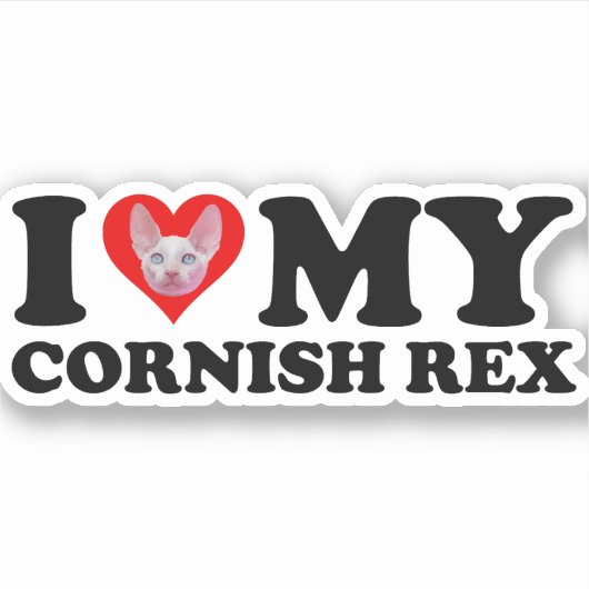 I Love (Heart) My Cornish Rex シール (正面)