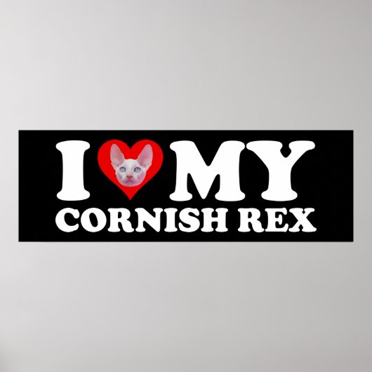 I Love (Heart) My Cornish Rex ポスター (正面)
