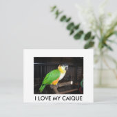 I LOVE MY CAIQUE ポストカード (スタンド正面)