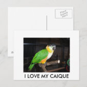 I LOVE MY CAIQUE ポストカード (正面/裏面)