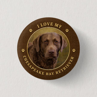 I Love My Chesapeake Bay Retrieverボタン 缶バッジ