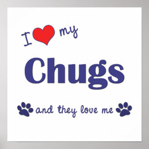 I Love My Chugs (Multiple Dogs) Posterプリント ポスター