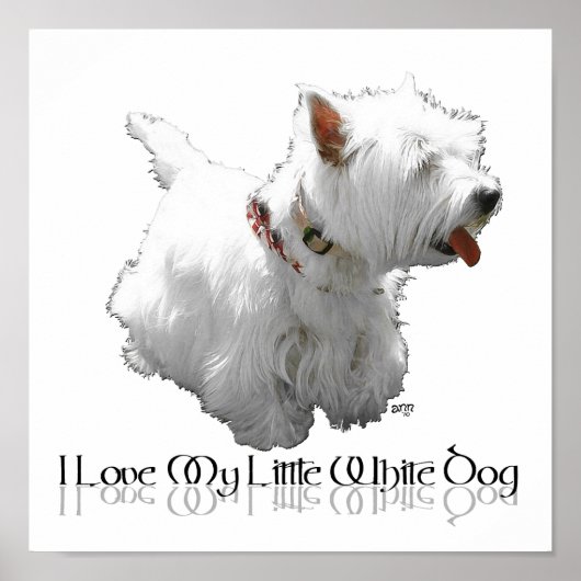 I Love My Little White Dog - ウェスティ ポスター (正面)