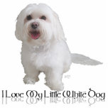 I Love My Little White Dog - Havanese フォトスカルプチャー<br><div class="desc">Little White Dog Rescue saved this Havanese in 2010. Now happy in a forever home, the dog is acting as an ambassador to the world for rescued dogs everywhere. Every purchase from our Shop will help save dogs in need of our rescue services. Find the perfect greeting cards, note cards...</div>