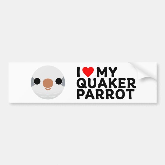 I LOVE MY QUAKER PARROT – grey バンパーステッカー (正面)