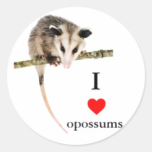 I Love Opossumsステッカー ラウンドシール
