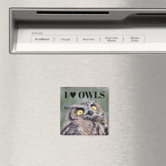 I Love Owls Magnet マグネット (インサイチュ (食洗機))