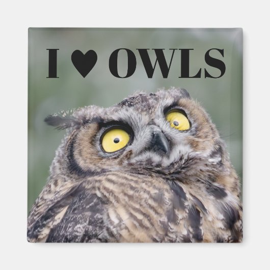 I Love Owls Magnet マグネット (正面)