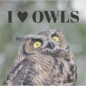 I Love Owls Sticker シール (正面)